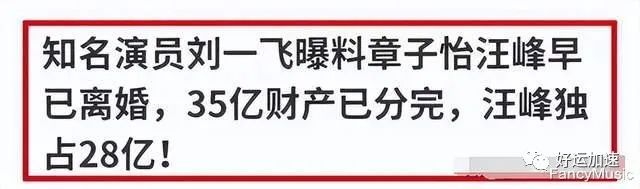 汪峰领取第四本离婚证，35亿财产被分配，前任表示：不痛不痒  第7张