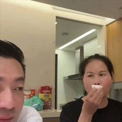 小菲和新媳妇去欧洲度蜜月了，带着孩子保姆！小杨阿姨和两个孩子住到了小菲酒店里，酒店装饰的很好，高端大气，上档次！  第12张