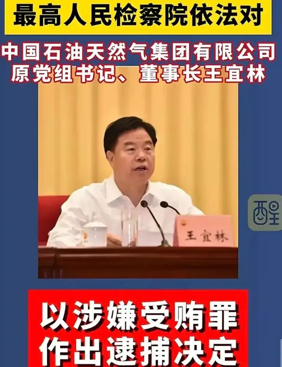 突发！中石油董事长王宜林涉嫌受贿被抓！评论区炸锅，网友怒了  第2张