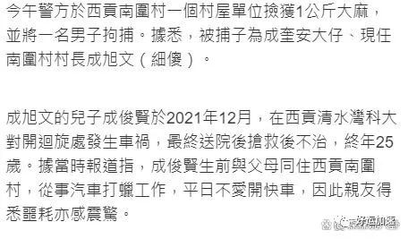 家门不幸！大傻孙子车祸去世一年，儿子又涉毒被捕  第2张