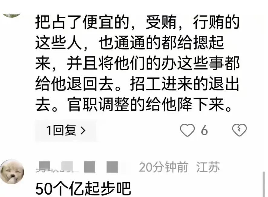 突发！中石油董事长王宜林涉嫌受贿被抓！评论区炸锅，网友怒了  第5张