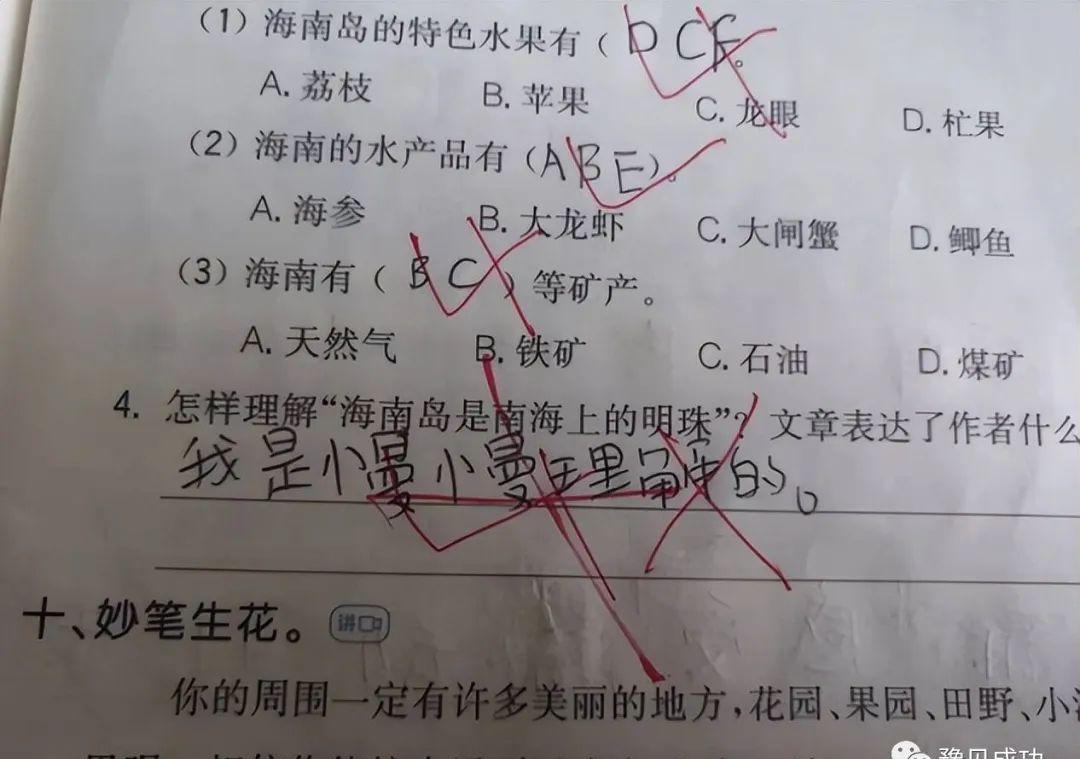 燕子为什么往南飞？小学生给出“终极答案”，老师：来趟办公室