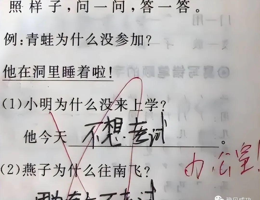 燕子为什么往南飞？小学生给出“终极答案”，老师：来趟办公室