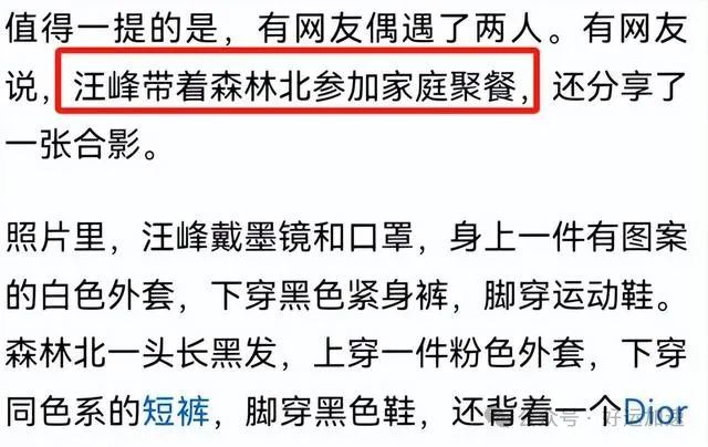 汪峰携森林北见家长，甜蜜牵手护佳人，共度新春酒店合照曝光！  第2张