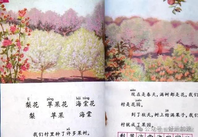 现在回看1988版小学语文课本，不但三观正而且接地气,令人难忘