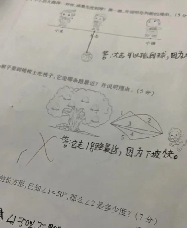 燕子为什么往南飞？小学生给出“终极答案”，老师：来趟办公室