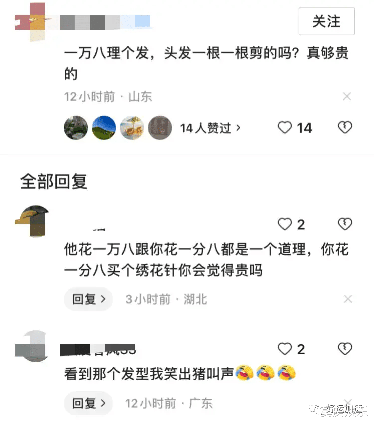 王思聪一万八的发型五千的卫衣会见领导，我差点被网友评论区笑死  第10张