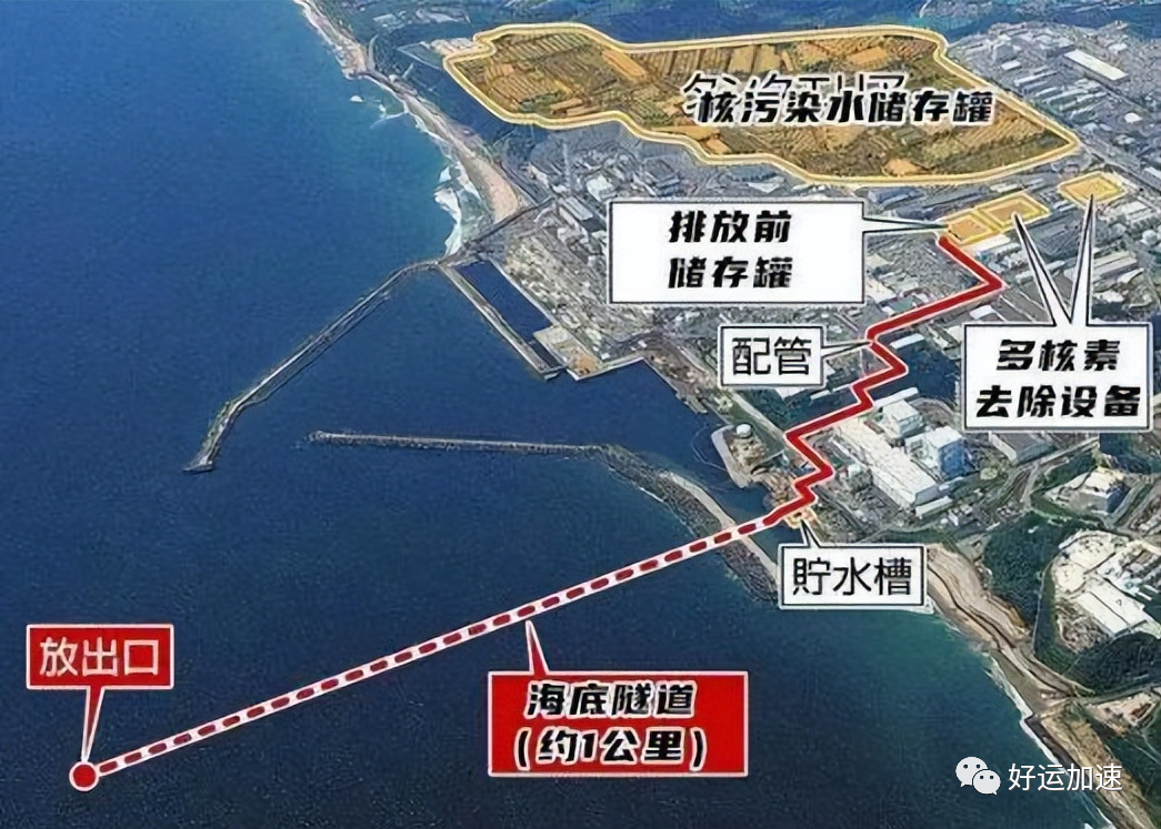 日本海岸连续出现大量死鱼，渔船都寸步难行