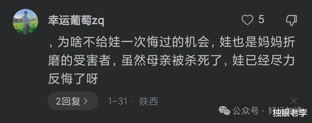 吴谢宇赎罪了，当年被他残忍杀害的亲生母亲，如今却遭遇双重网暴  第5张