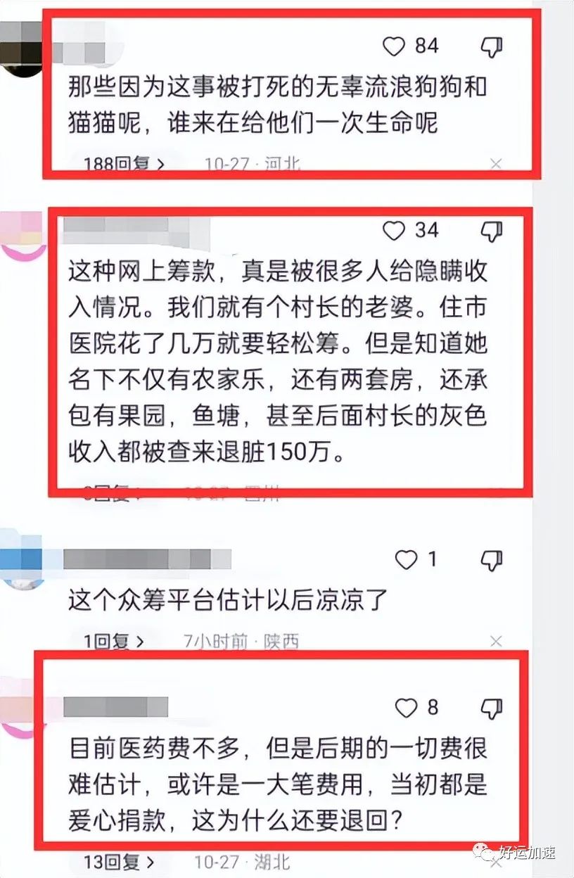 200万已全数归还！小女孩全家遭网曝，一夜之间舆论偏向流浪猫狗  第7张