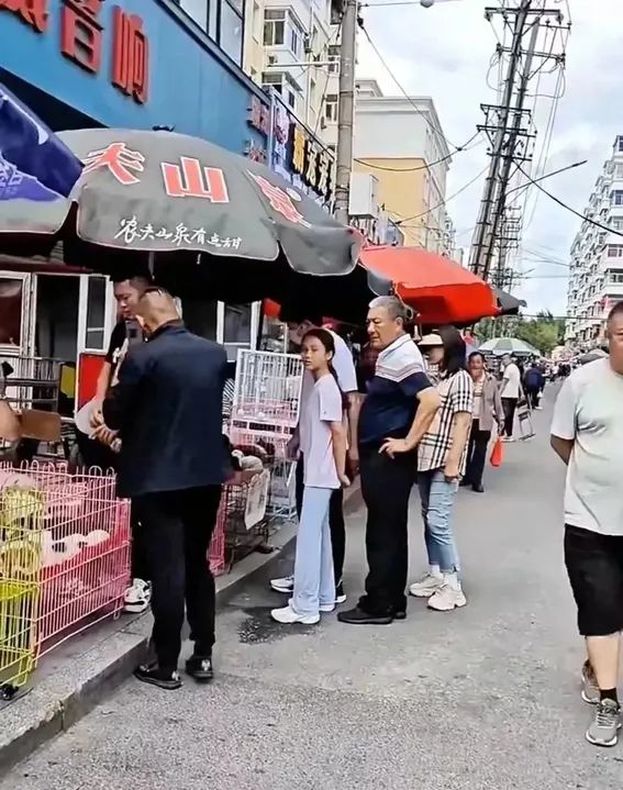 贾乃亮携甜馨回哈尔滨过暑假，又高又瘦像妈妈，爷孙三代罕见同框  第6张