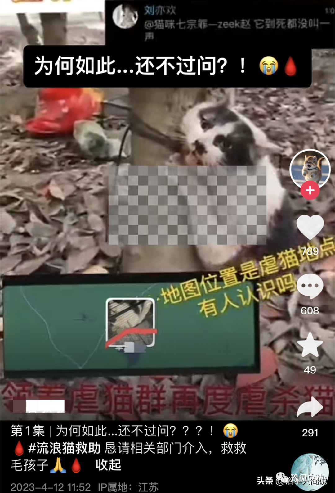 网红“杰克辣条”虐猫画面曝光！绑树上用钳子夹猫爪，评论区沦陷  第8张