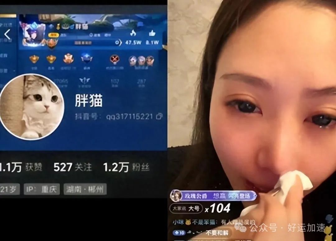 胖猫的姐姐多个平台账号被封禁，警方：涉嫌操控舆论