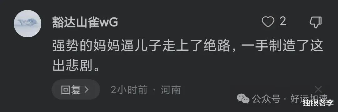 吴谢宇赎罪了，当年被他残忍杀害的亲生母亲，如今却遭遇双重网暴  第9张