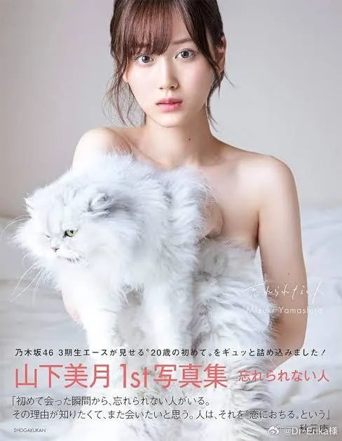 日本oricon公布女明星写真集top10，田中美奈实夺冠  第5张