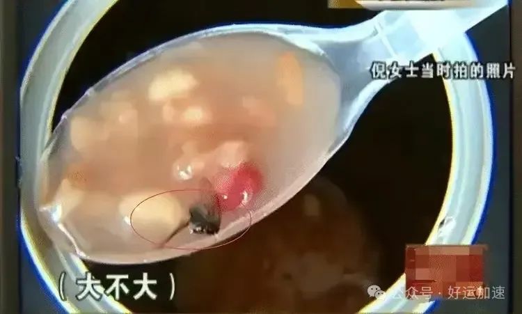 曝娃哈哈八宝粥有苍蝇！肢体完整、翅膀清晰，爆料者身份漏洞百出