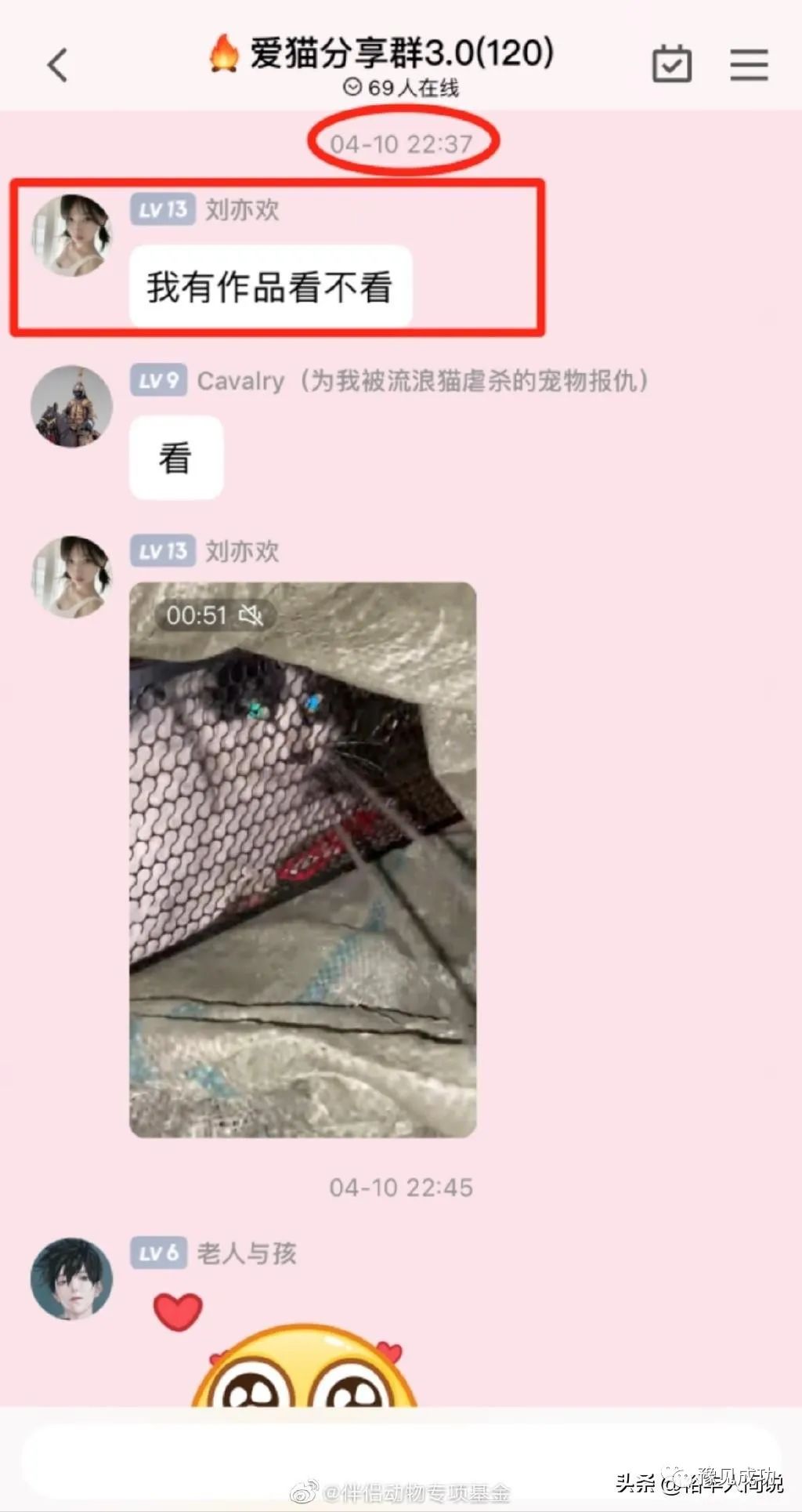 网红“杰克辣条”虐猫画面曝光！绑树上用钳子夹猫爪，评论区沦陷  第14张