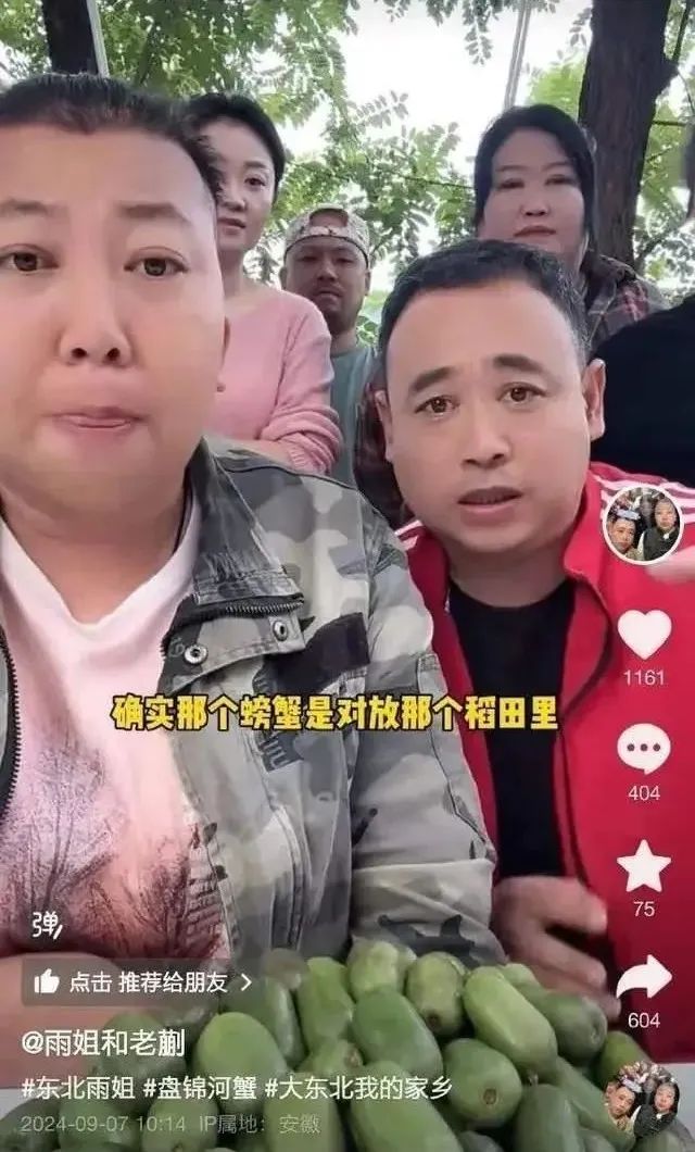 东北雨姐一夜掉粉10万！网友在评论区刷屏吐槽，频繁翻车引人深思