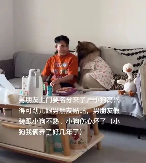 男子去女友家拜访“要名分”，小狗热情贴贴，男子紧张假装不认识狗，狗：“这会儿装不认识了？”