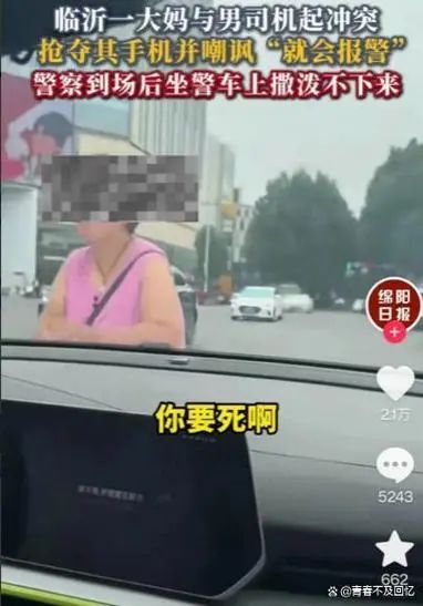 大妈与花臂男司机冲突，抢手机后坐警车上撒泼