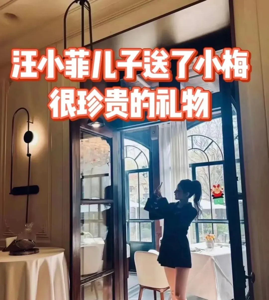 小菲和新媳妇去欧洲度蜜月了，带着孩子保姆！小杨阿姨和两个孩子住到了小菲酒店里，酒店装饰的很好，高端大气，上档次！  第7张