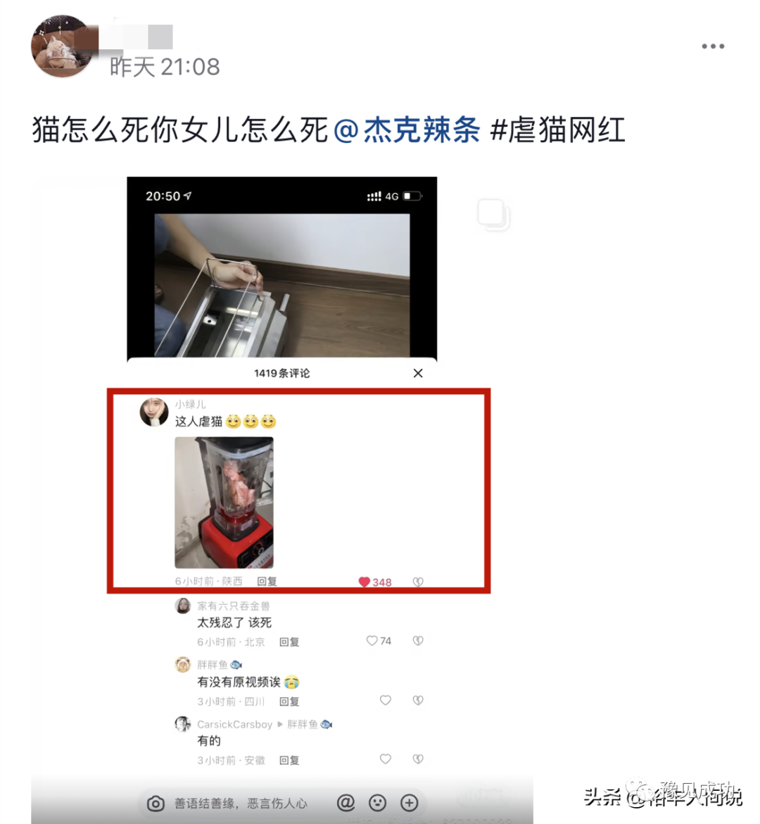 网红“杰克辣条”虐猫画面曝光！绑树上用钳子夹猫爪，评论区沦陷  第5张