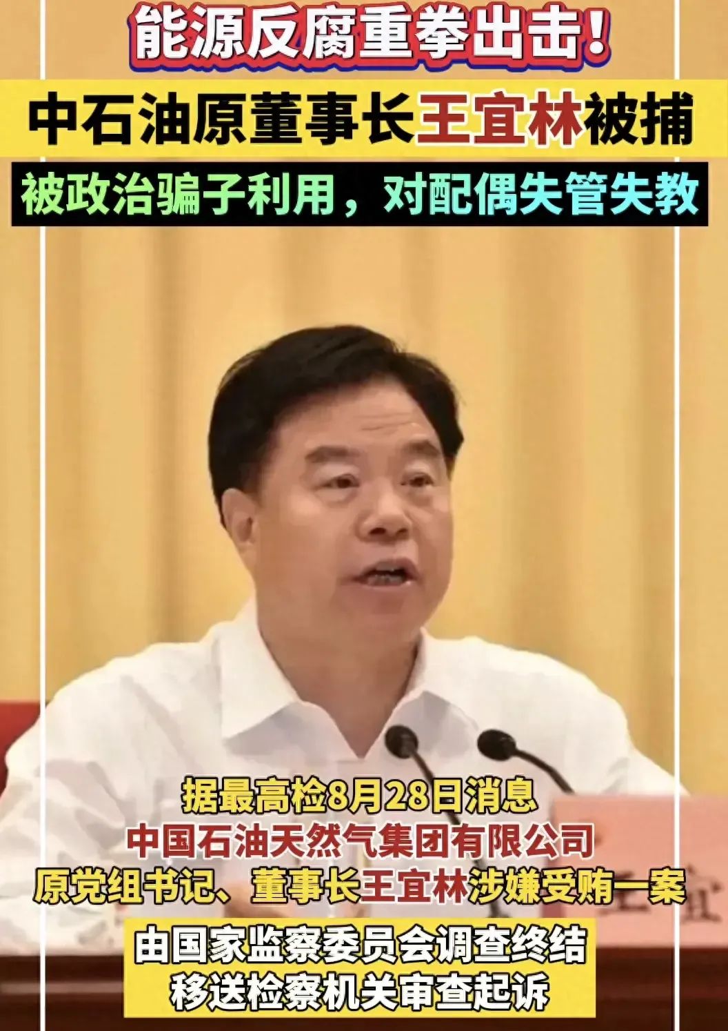 突发！中石油董事长王宜林涉嫌受贿被抓！评论区炸锅，网友怒了  第1张