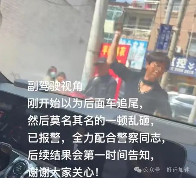 农村大妈石头猛砸奔驰车，美女车主报警后气笑：你压我家蒜苗了！  第11张