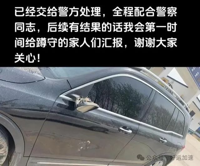 农村大妈石头猛砸奔驰车，美女车主报警后气笑：你压我家蒜苗了！  第15张