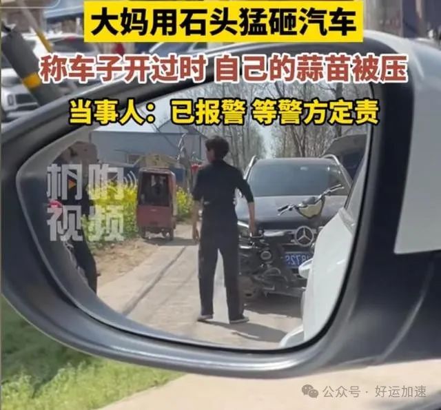 农村大妈石头猛砸奔驰车，美女车主报警后气笑：你压我家蒜苗了！  第2张