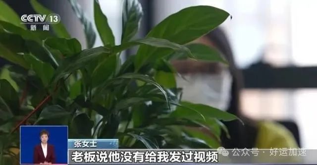 “当心！视频会议诈骗新手法：AI换脸让人防不胜防”  第5张