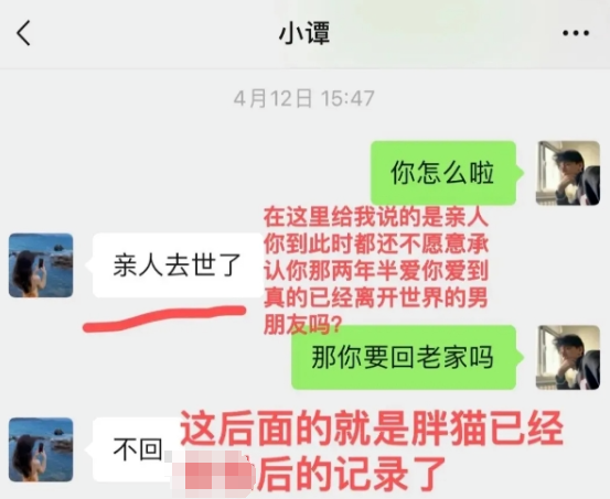 胖猫游戏代练两年打了51万，两年打了两万多局，  第30张