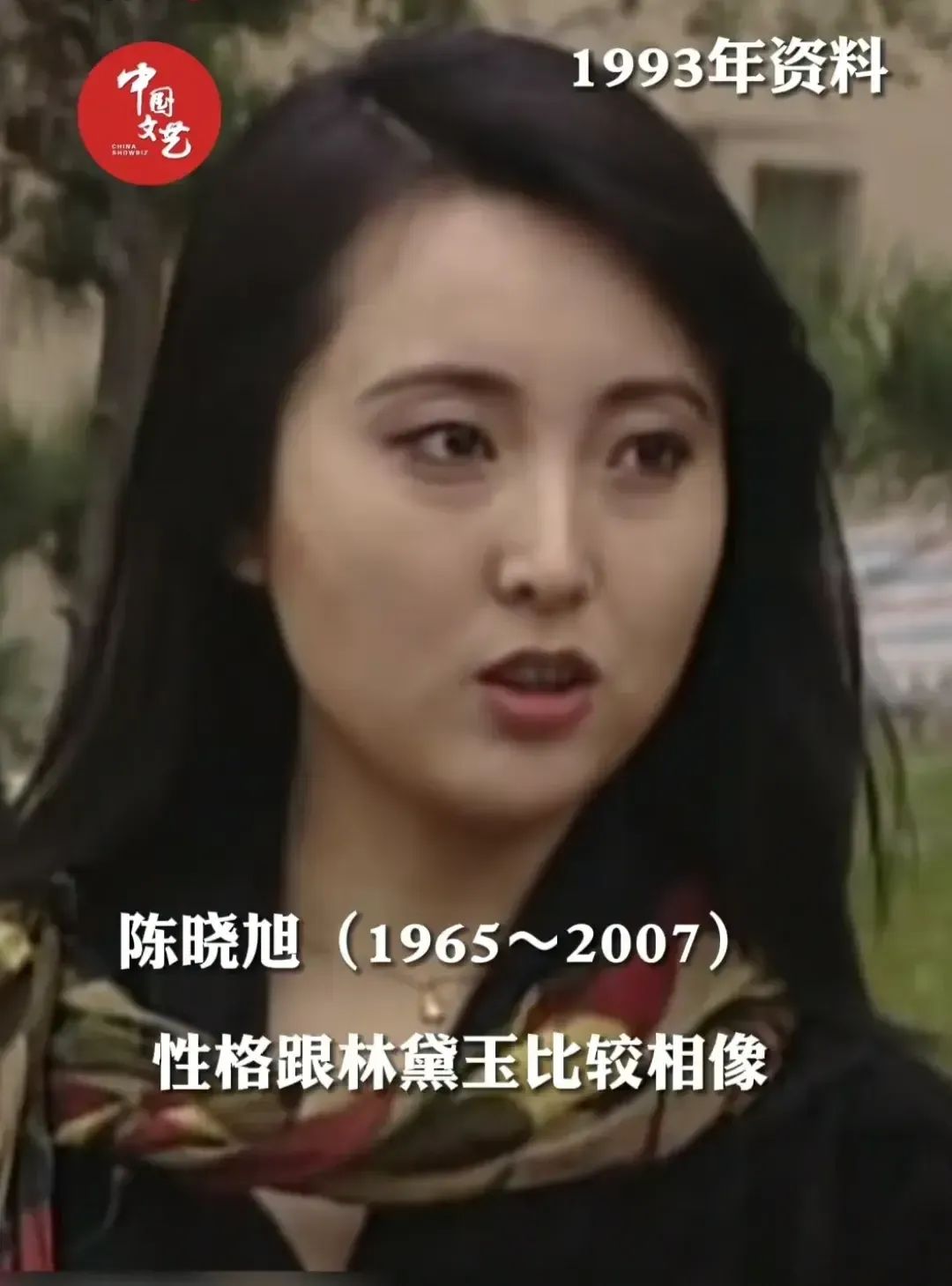 1993年，陈晓旭胖了20斤，黑长直发，依旧那么温柔，脸颊还有梨涡