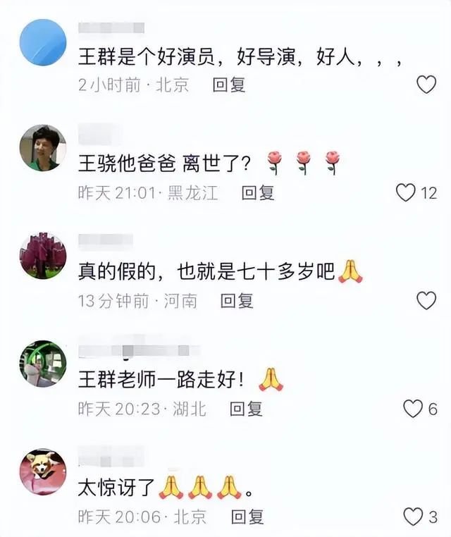 痛心！王馥荔丈夫去世，夫妻恩爱惹泪目，儿子王骁是其一生的骄傲  第11张