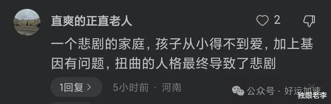 吴谢宇赎罪了，当年被他残忍杀害的亲生母亲，如今却遭遇双重网暴  第6张