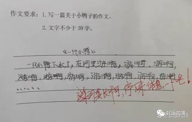 小学生作文《奶奶老了》走红，老师看完笑出鹅叫，爸爸：别啥都说  第4张