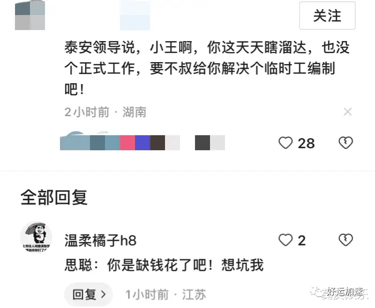 王思聪一万八的发型五千的卫衣会见领导，我差点被网友评论区笑死  第7张