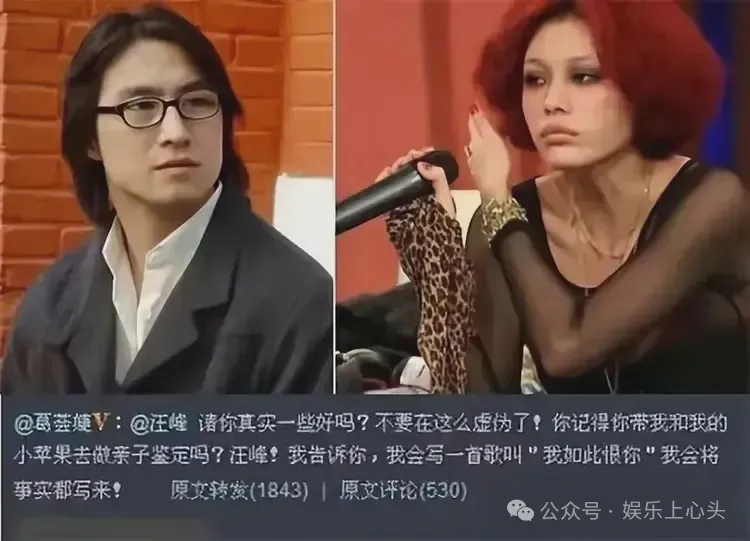 葛荟婕替章子怡打抱不平：汪峰你对不起子怡和孩子，这热度我蹭了  第10张