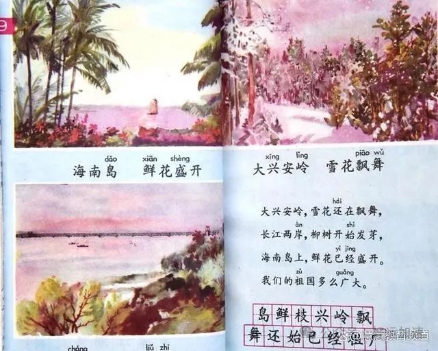 现在回看1988版小学语文课本，不但三观正而且接地气,令人难忘