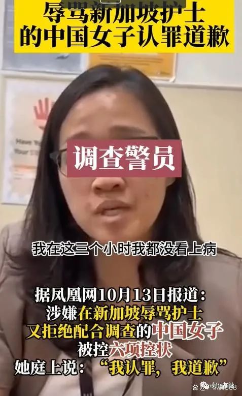 “辱骂新加坡护士事件：女子面对六项控状”  第2张