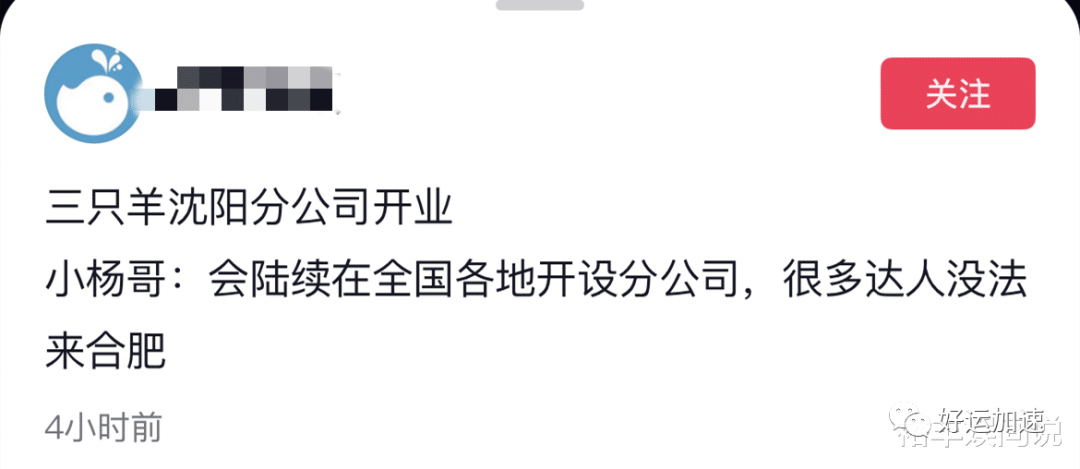 网红小杨哥带货数据再度飙升！5小时7200万，朱茵陈意礼现身助阵  第10张