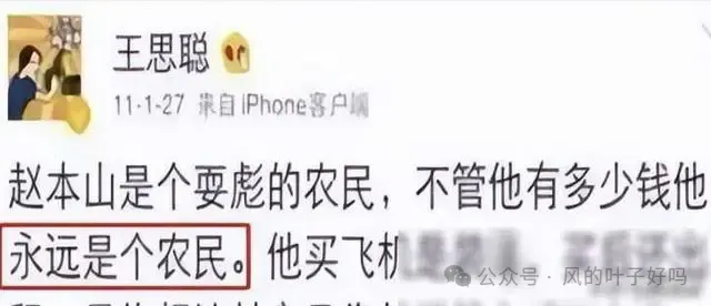 王思聪要“凉”？微博被封，父母被查  第17张