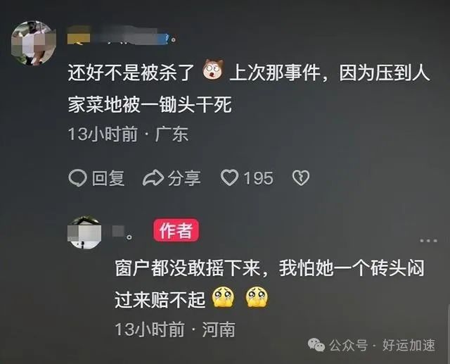 农村大妈石头猛砸奔驰车，美女车主报警后气笑：你压我家蒜苗了！  第8张