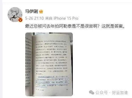 马伊琍被授予“新疆文化旅游宣传大使”称号  第2张