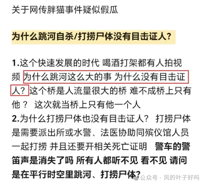 胖猫跳江反转！胖猫姐姐遭网暴！