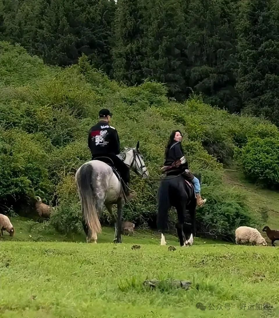 汪峰森林北新疆骑马，森林北牵着汪峰