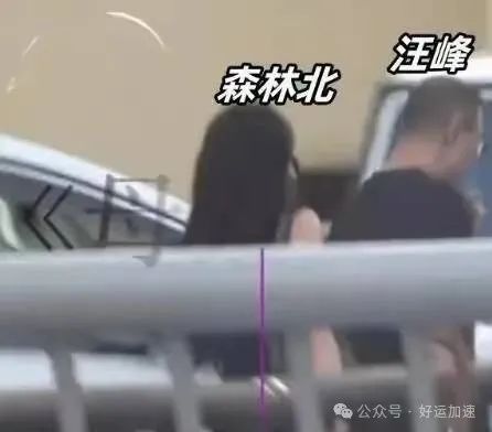 汪峰新女友疑曝光：比汪峰小19岁颜值不输章子怡，森林北身份被扒