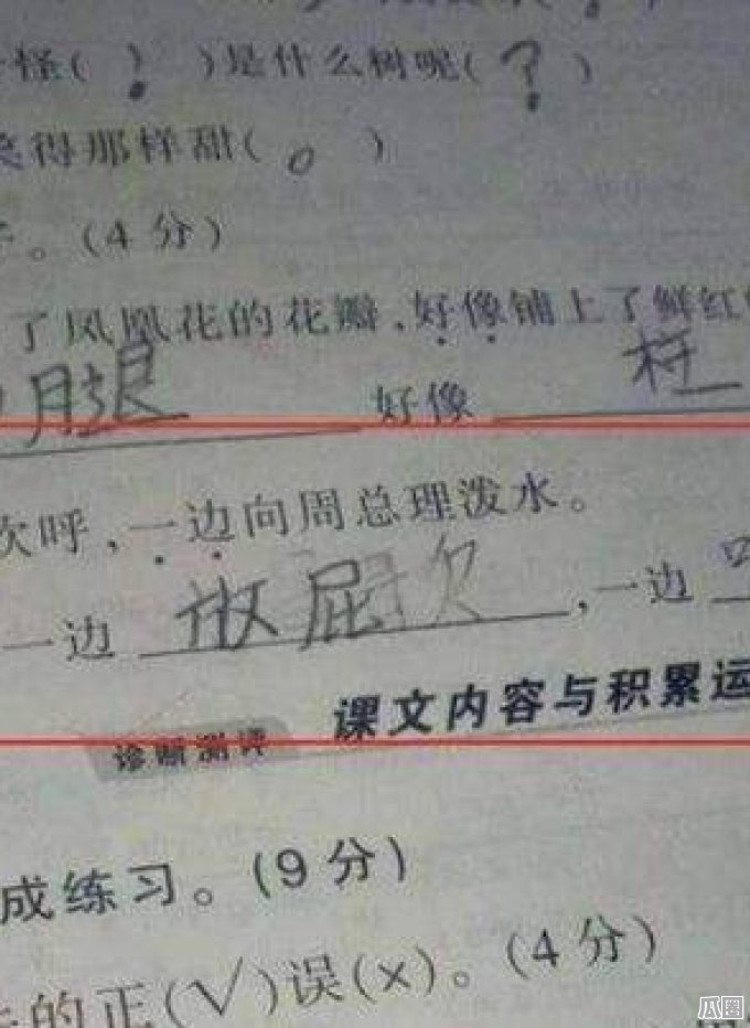 成功错过所有正确答案！小学生“0分”试卷走红，老师哭晕在厕所  第1张