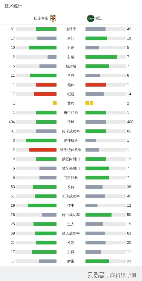 山东泰山主场战胜浙江  第3张