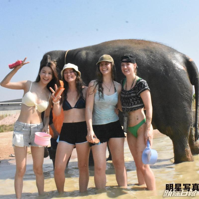 陈欣妍穿三点式摸大象